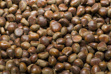 Castagne crude in vendita