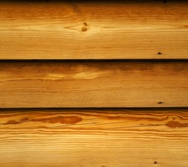 Fototapeta premium Wood texture