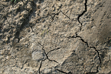 Rock texture