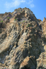 Mountain wall covered with trees, moss and rocks
