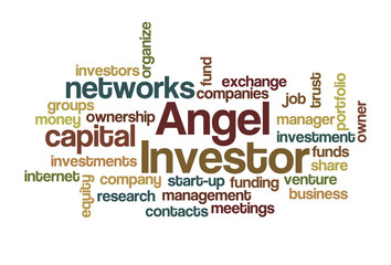 Angel Investor Word Cloud