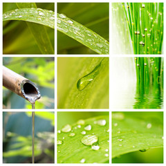 Fototapeta premium Collage de photo, nature et eau, fontaine en bambou et gouttes de pluie sur des fauilles