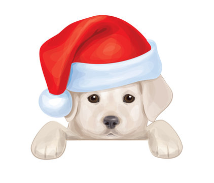 Vector of cute puppy in Santa's hat hiding by blank.