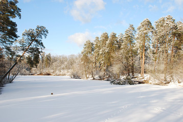 Заснеженное лесное озеро © golicin