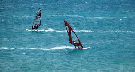 windsurfeurs