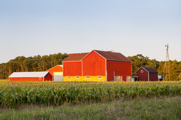 Traditional American Red Farm in Summer
