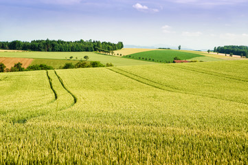 Farmland in Upper Austria