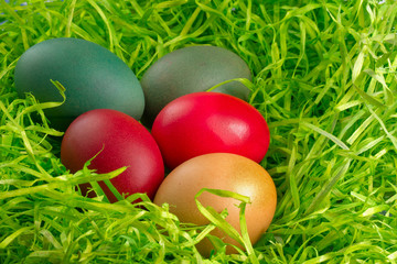 easter eggs an green grass