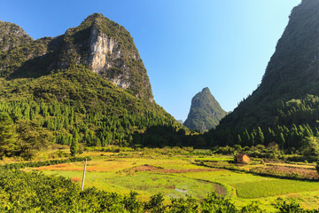Green valley with Limestone rocks in Asia