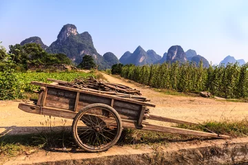 Tuinposter Chariot with branches in a limestone valley landscape © pwollinga