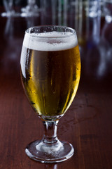 golden beer