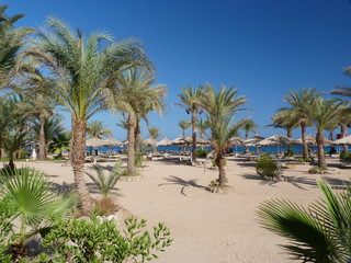 Fototapeta na wymiar am Strand von Sinai