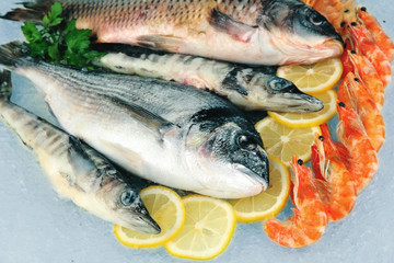Fresh seafood on ice
