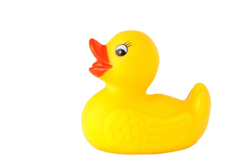 Yellow rubber duck
