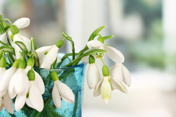 Bouquet of snowdrop flowers in glass vase, on bright background