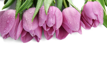 Obraz na płótnie Canvas Piękny bukiet tulipanów fioletowy, na białym tle