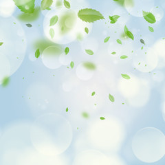 Natural spring and summer background with selective focus and co