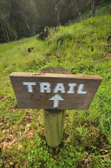 Trail sign in the woods pointing