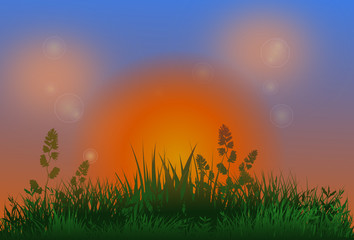 Sonnenaufgang in der Natur