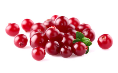 Tasty cranberry with leaves