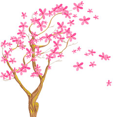 Cherry branch in blossom.