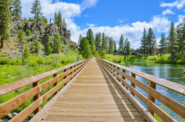 A Wooden Footbridge along a Trail