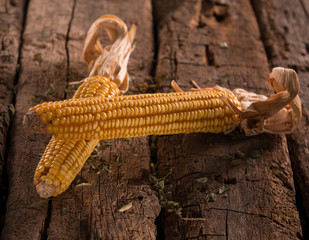 Obraz premium Two dried corns