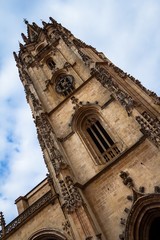 Fototapeta premium The San Salvador Oviedo Cathedral Tower in Asturias (Spain)