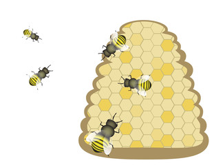 vector bees on a hive