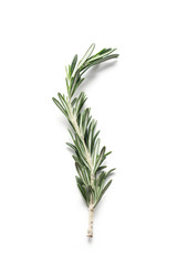 Herbs Series - Rosemary