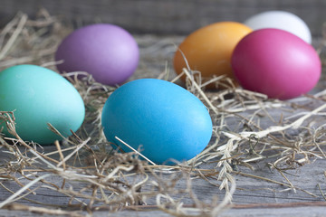 Fototapeta na wymiar Colorful easter eggs on vintage wooden boards