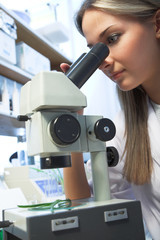 Fototapeta premium researcher with microscope