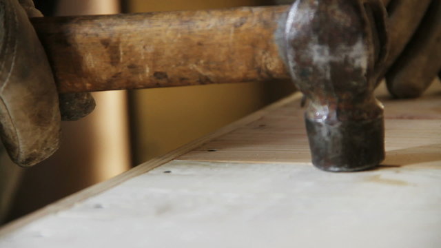 Working carpenter.