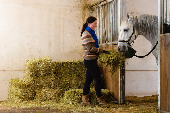 Woman give a hay for a horse