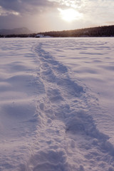 Snowshoe prints trail on snowy frozen lake surface