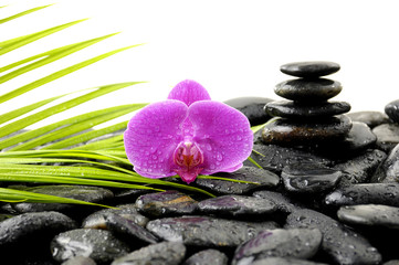 Stones tower with orchid