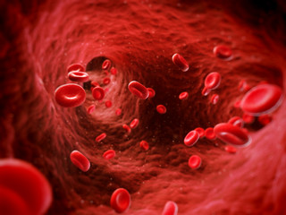 3d rendered illustration of human blood cells