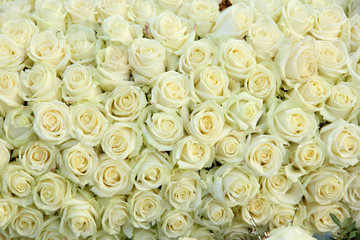 Group of white roses, wedding decorations