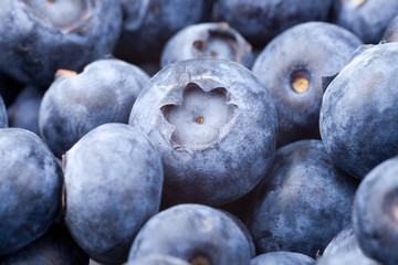 many blueberries