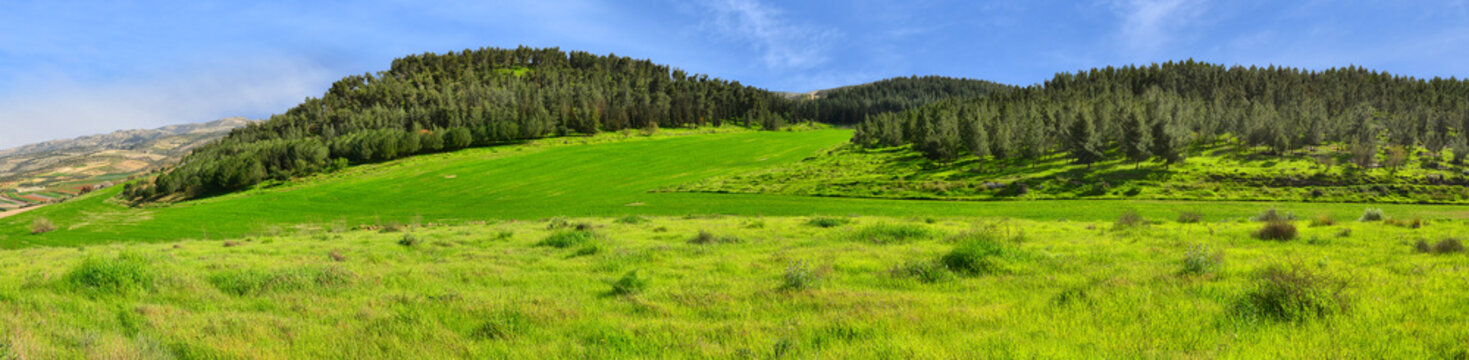 Panorama hills, forest and green fields
