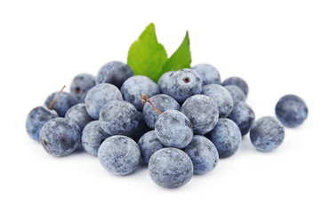 Sloe berry