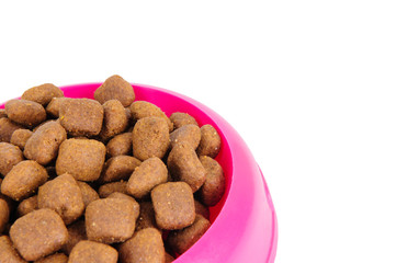 dog food in bowl