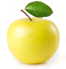 Fresh apple