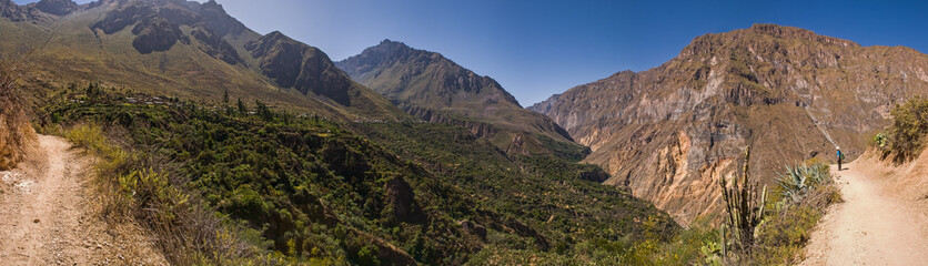 Fototapeta na wymiar Kanion Colca z trekkingu ścieżkę