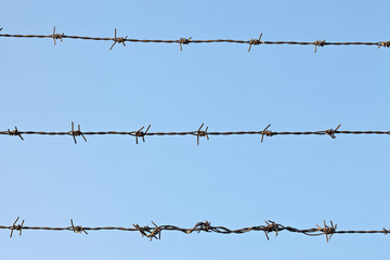 Barbed wire