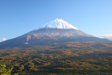 Mt. Fuji with Aokigahara forest in autumn, Japan