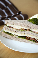 healthy gaba bread sandwich