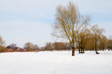 Fototapeta na wymiar Łąka zimą na krawędzi village4