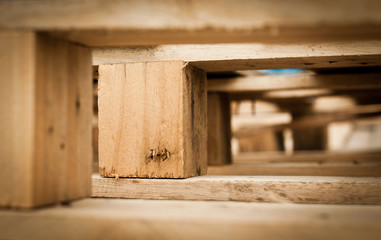 Macro of wood pallet  detail