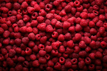 Raspberry fruit background - 50021366